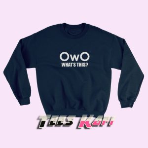 Sweatshirt OwO Meaning